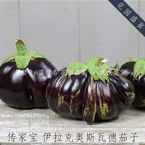 花园盛宴传家宝茄子伊拉克