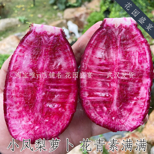 花园盛宴冰淇淋萝卜可留种