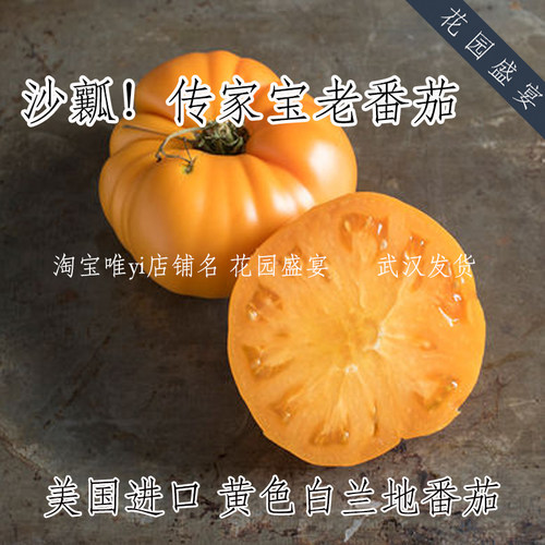 黄色白兰地3粒美国进口番茄种子