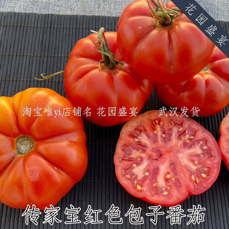 20粒可留种红色包子番茄传家宝沙瓤多汁高产