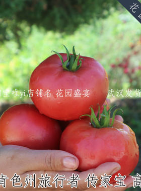 花园盛宴传家宝番茄阿肯色州