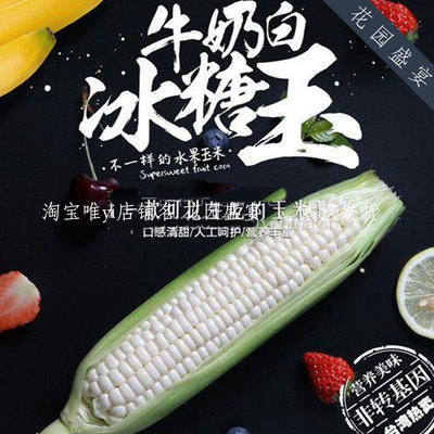 F1脆甜爆汁牛奶冰糖白玉米种子雪甜7401可生食可盆栽