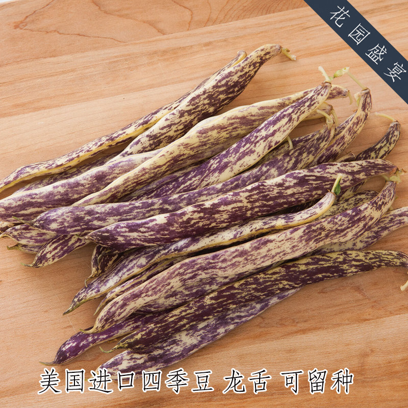 可留种可盆栽美味四季豆种子10粒龙舌 美国进口蔬菜种子,鲜花速递/花卉仿真/绿植园艺,家庭园艺种子,淘宝优惠券,粉丝福利购,淘宝优惠卷