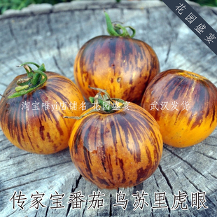 买1送1 共6粒种子传家宝番茄乌苏里虎眼可留种野猪农场