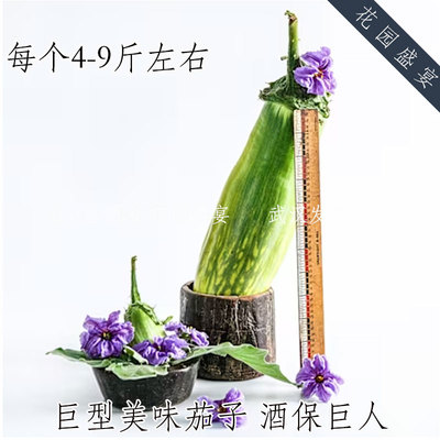 巨型美味茄子酒保巨人种子 进口蔬菜种子 4-9斤重