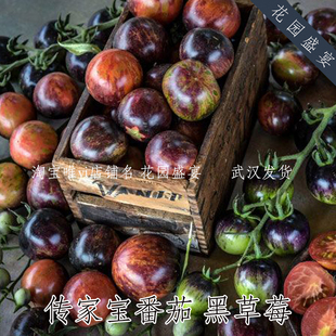 买1送1 沙瓤！共6粒种子传家宝番茄黑草莓黑色彩色番茄可留种