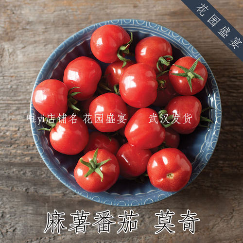 花园盛宴冰淇淋番茄亮红色