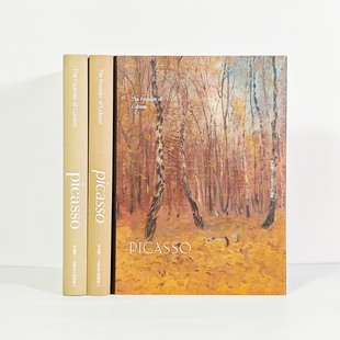 博艺抽象艺术毕加索画册样板间书房中文装饰摆件可翻页客厅售楼处