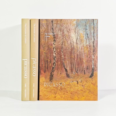 毕加索艺术画册样板间可翻阅真书