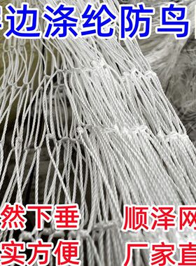 高强涤纶防鸟网果园鱼塘防鸟网尼龙复丝葡萄网寿命更长养殖网农业