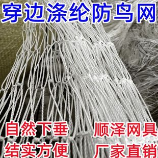 高强涤纶防鸟网果园鱼塘防鸟网尼龙复丝葡萄网寿命更长养殖网农业