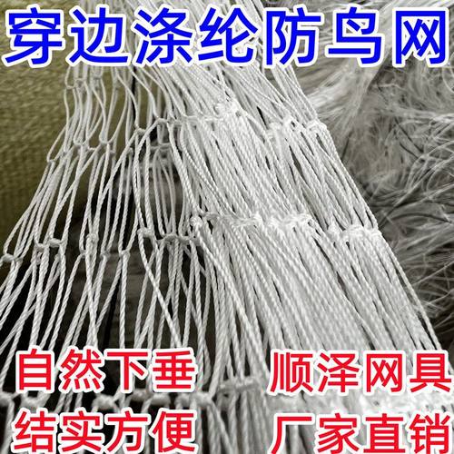 顺泽防鸟网结实耐用性价比高