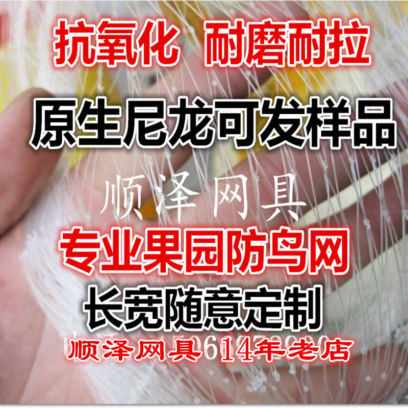 防鸟网免邮果园树葡萄网稻谷鱼塘尼龙防护网 按斤更实惠厂家直发