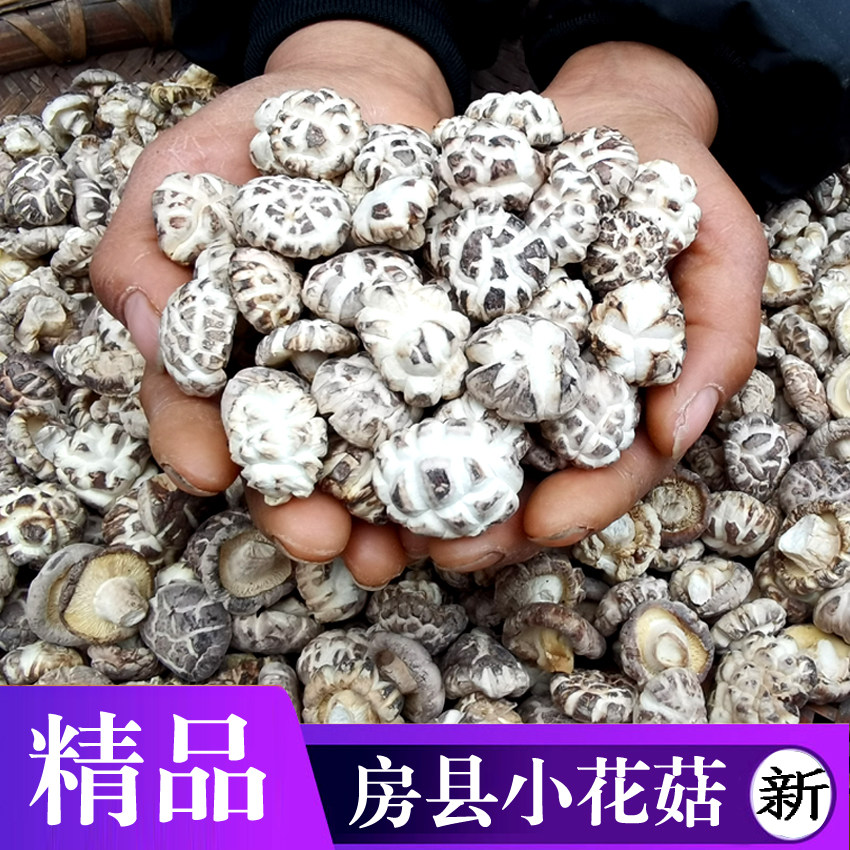 房县小花菇丁新货肉厚剪脚天然香菇菌菇十堰神农架特产精品500克