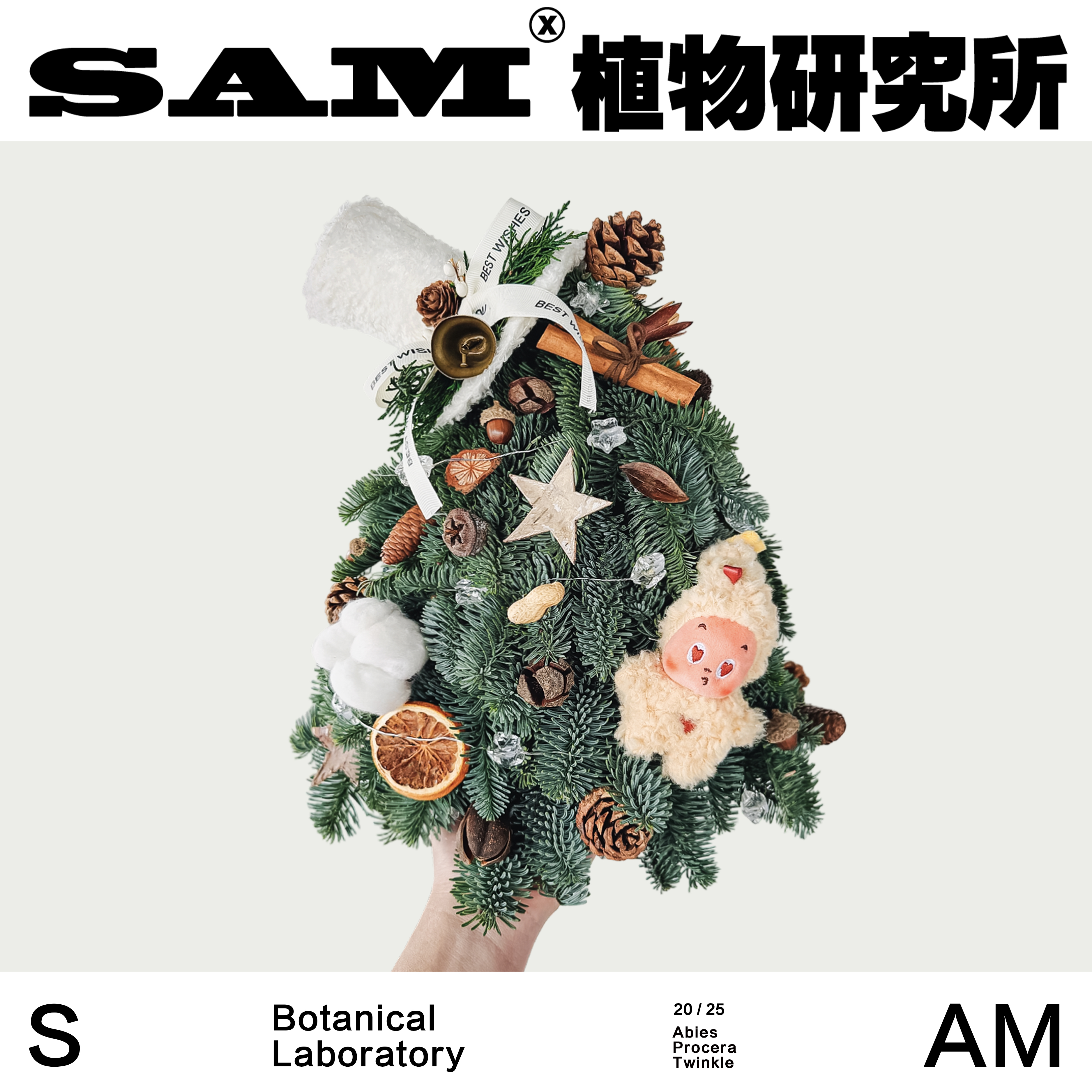 星星人诺贝松圣诞树/进口鲜切圣诞树/圣诞节礼物/家居装饰摆件