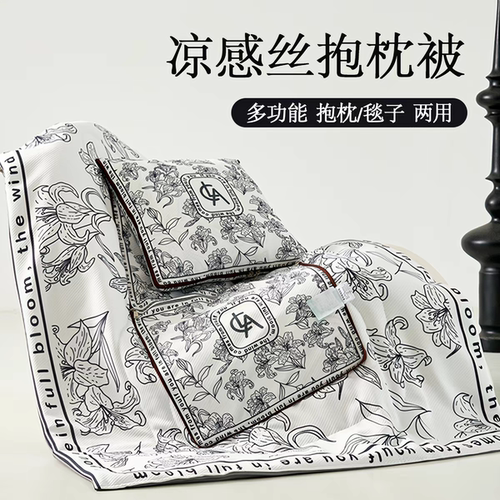 抱枕被子两用凉感二合一汽车载枕头被办公室午睡毯子靠枕车用四季