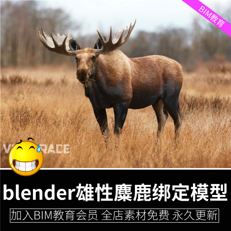 雄性麋鹿绑定3D模型 Moose Male Animated Blender FBX OBJ格式