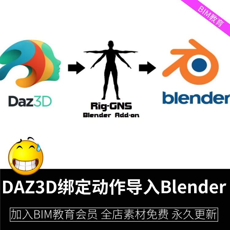 DAZ3D模型绑定动作导入Blender插件RigGNS软件blender