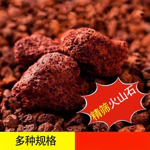 净化水质的石头红色免洗火山石鱼缸污水处理水族装饰园林造景多肉