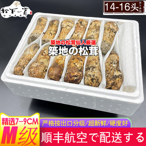 香格里拉新鲜松茸顺丰空运