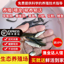 喂乌龟饲料鱼小鱼活体养殖活鱼龙鱼活食饲料淡水鱼苗草鱼苗鲫鱼苗
