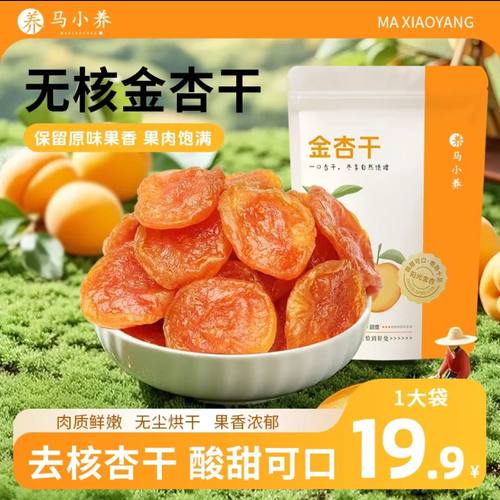 华誉堂马小养无核金杏干