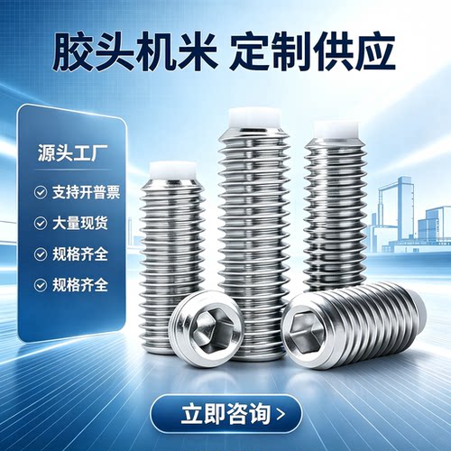 304不锈钢尼龙头内六角定位柱塞