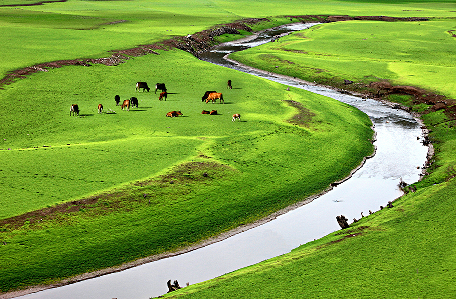 自然风景大草原野外草地田园风光海报制作客厅房间装饰画J5311C