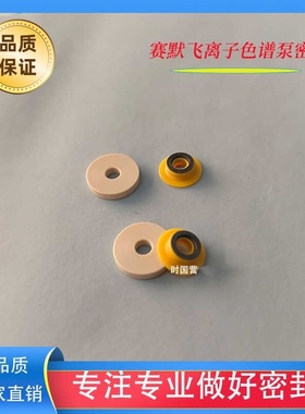 赛默飞原装离子色谱泵配件 ICS5000+075768单向阀热电离子色谱500