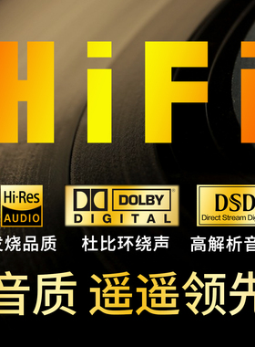 hifi无损音乐硬盘HiRes24bit WAV dsd数播解码高码率发烧母带音源