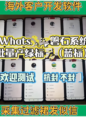 外贸拓客ws裙发磐石系统海外短视频tk矩阵fb引流私信海外客户软件