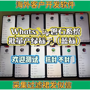 外贸拓客ws裙发磐石系统海外短视频tk矩阵fb引流私信海外客户软件