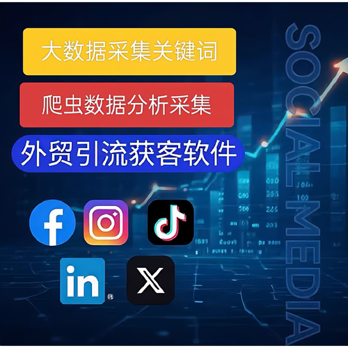 海外社媒FB营销TK矩阵推广ins广告投放软件外贸X引截流WS裙发工具