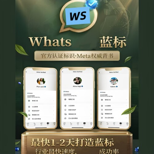 海外客户开发软件 WS api裙发私信外贸引流拓客WhatsAp蓝标认证