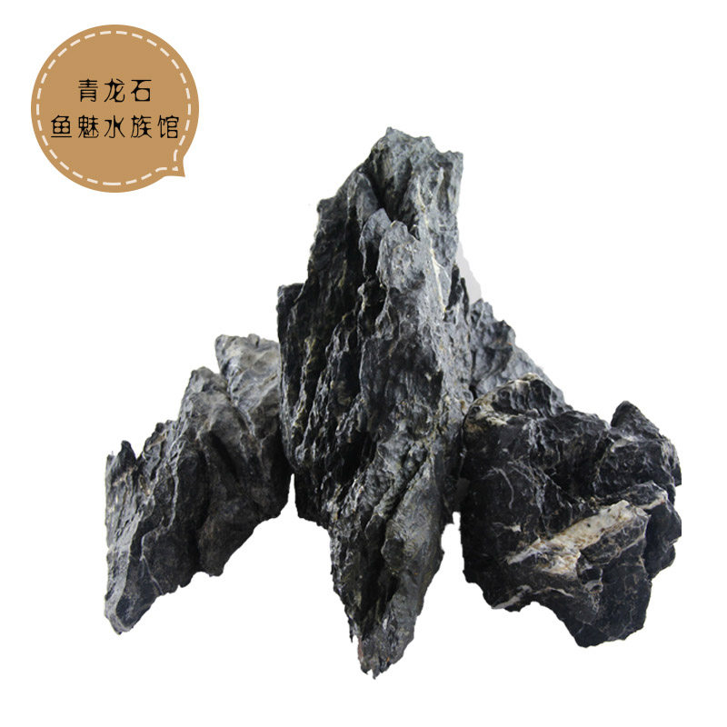 装饰造景青龙松皮木化火山石推荐热带观赏草活体成都发货