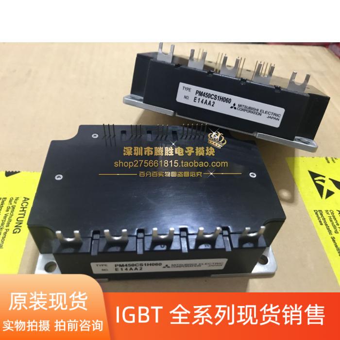 PM200CBS60 PM300CBS060 PM300CS1H060 PM450CS1H060