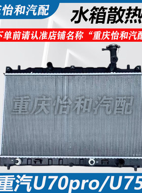 重汽VGVU75水箱U70pro水箱