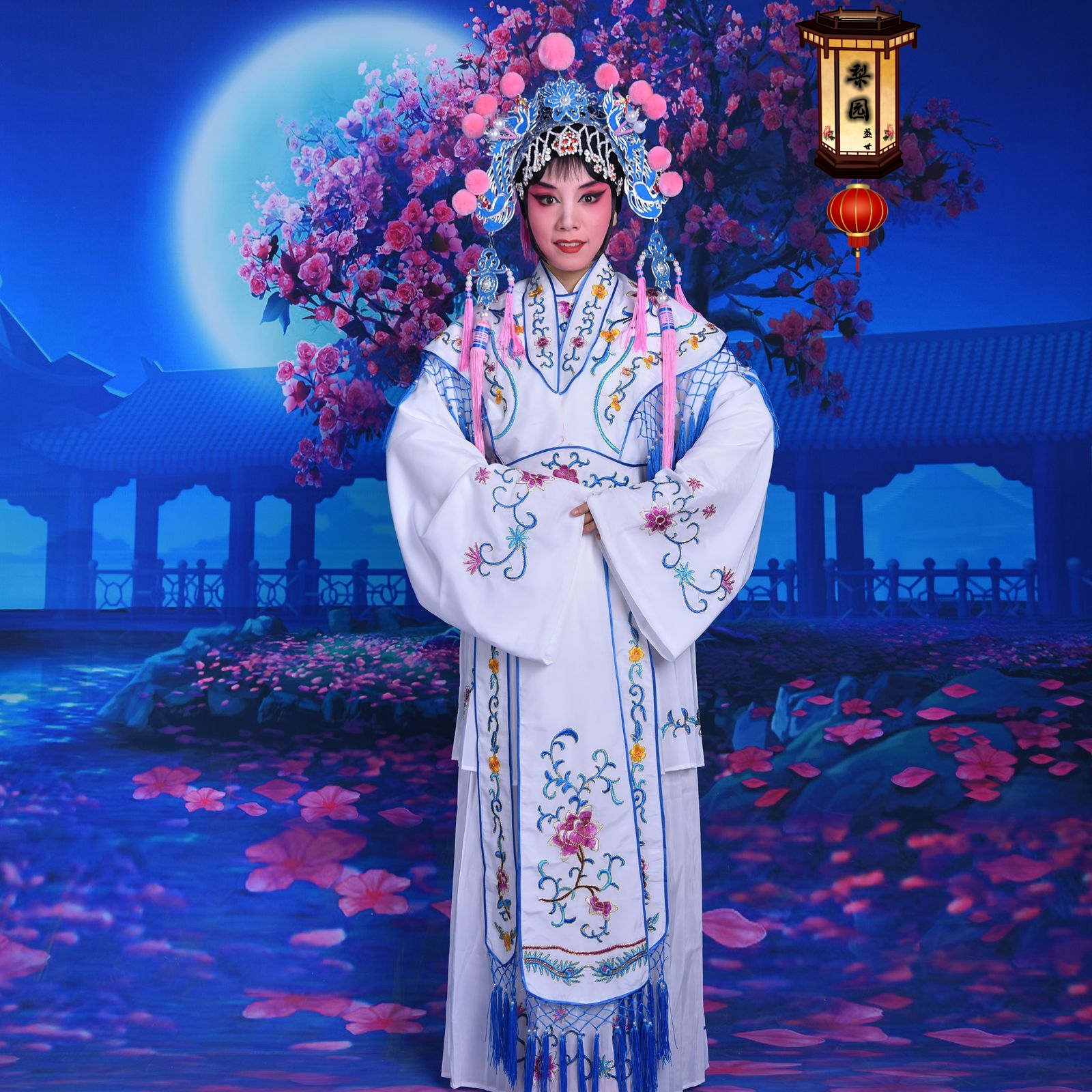 京剧戏曲演出京越剧服装舞台大古装女戏服小花旦水袖青衣七仙女服