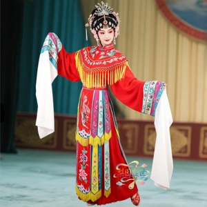 京越剧五彩宫装醉打金枝戏服
