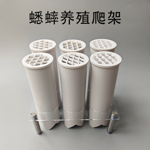 蟋蟀蛐蛐杜比亚管巢爬架防逃透气
