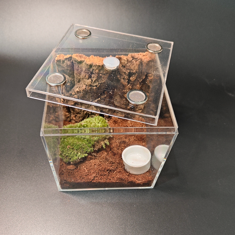 地栖树栖爬虫宠物饲养盒金直间火玫瑰蜘蛛蝎子蜈蚣蟋蟀盒