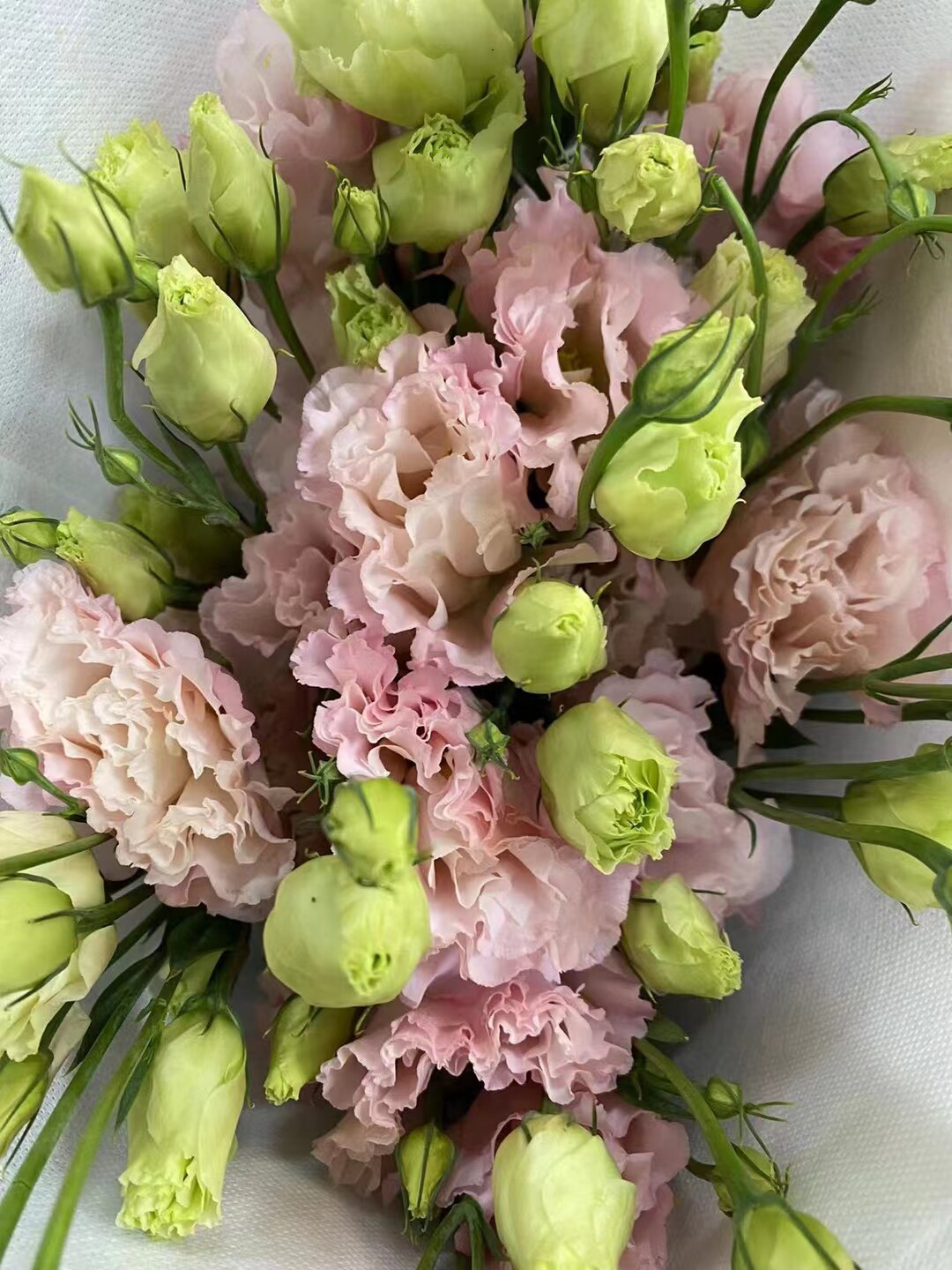 北京发货洋桔梗鲜花多色可选龙胆花小清新治愈系摆摊插花顺丰包邮