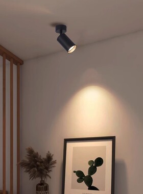 LED光源可更换镜前灯具调角度文化墙明装画展小山丘导轨道射灯饰