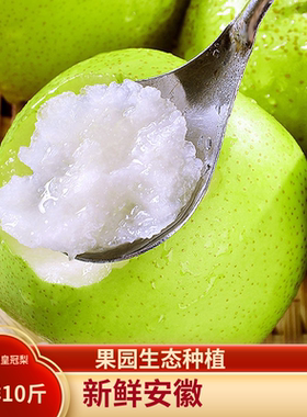 梨子新鲜10斤正宗安徽砀山皇冠梨水果翠玉梨5斤脆冠当季青梨包邮
