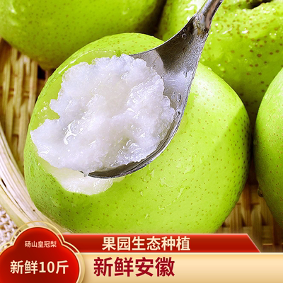 梨子新鲜10斤正宗安徽砀山皇冠