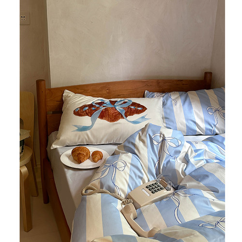 床单款四件套100支长绒棉ins亲肤