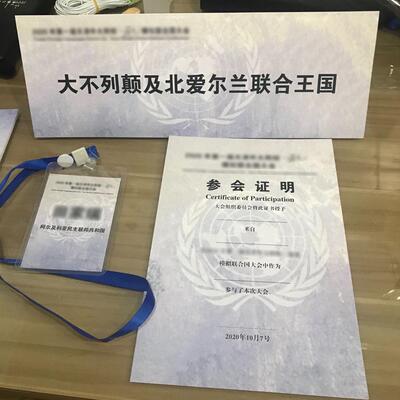 模拟联合国国家牌获奖证书参赛证明姓名牌代表牌意向条免费设计