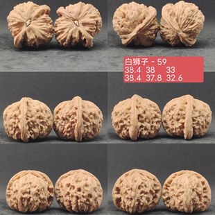 白狮子01文玩核桃一物一图，南疆石白狮子苹果园磨盘宫灯小众山