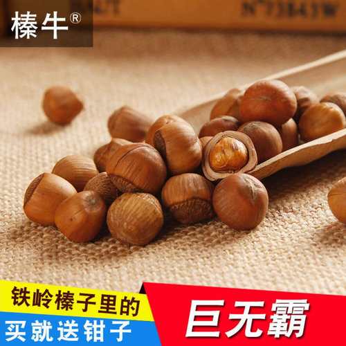 2025年野生新榛子榛子