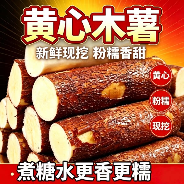 华南9号木薯广西粉糯香甜